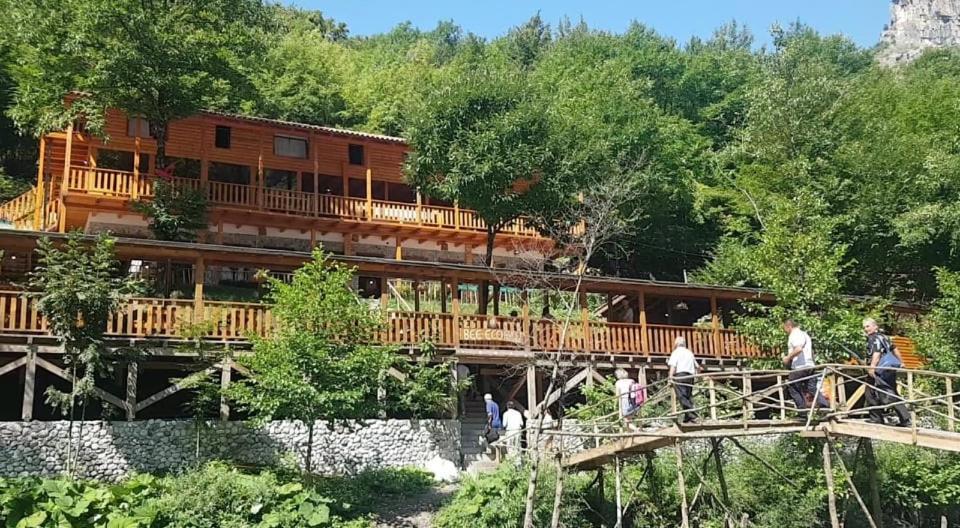 Bee Eco Guest House Moll' e Shoshit Kültér fotó