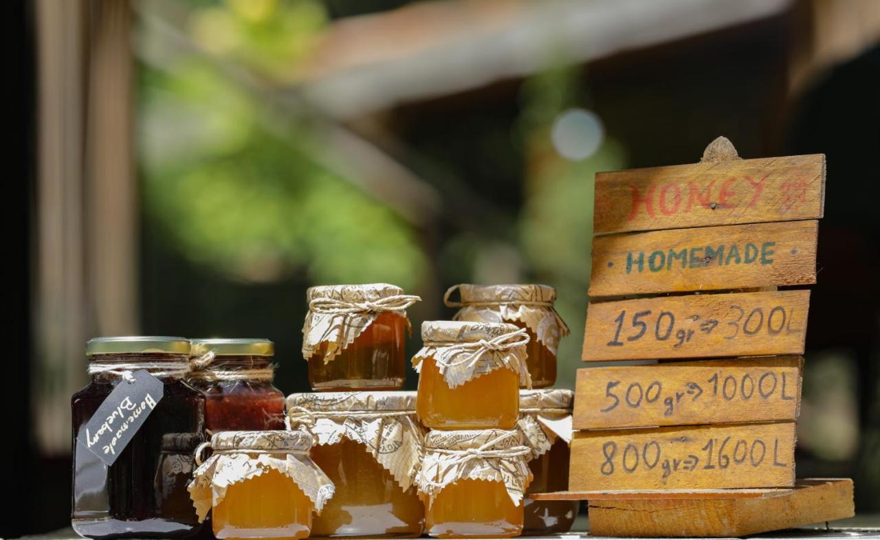 Bee Eco Guest House Moll' e Shoshit Kültér fotó