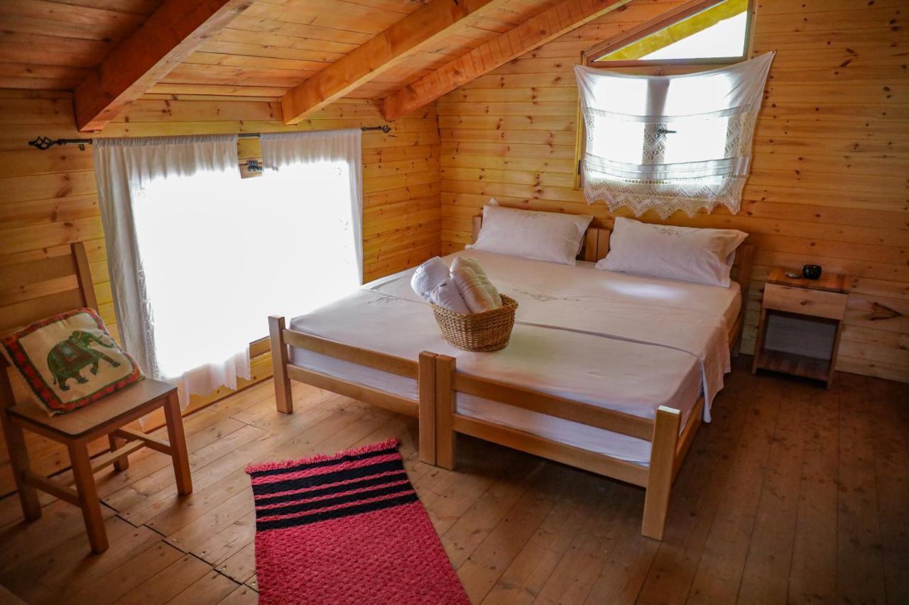 Bee Eco Guest House Moll' e Shoshit Kültér fotó
