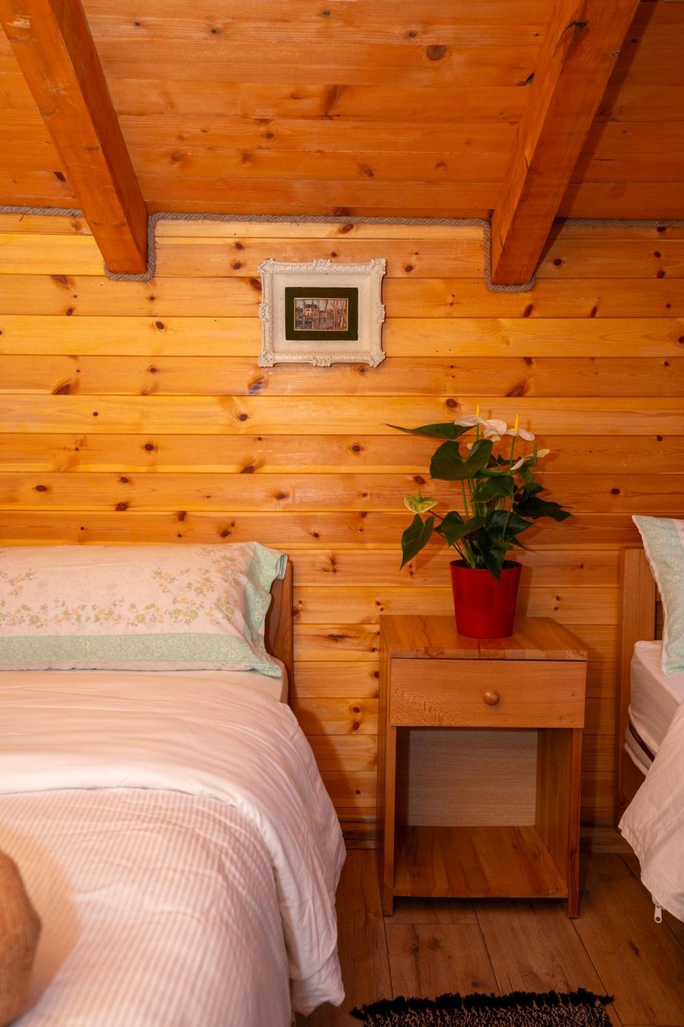 Bee Eco Guest House Moll' e Shoshit Kültér fotó